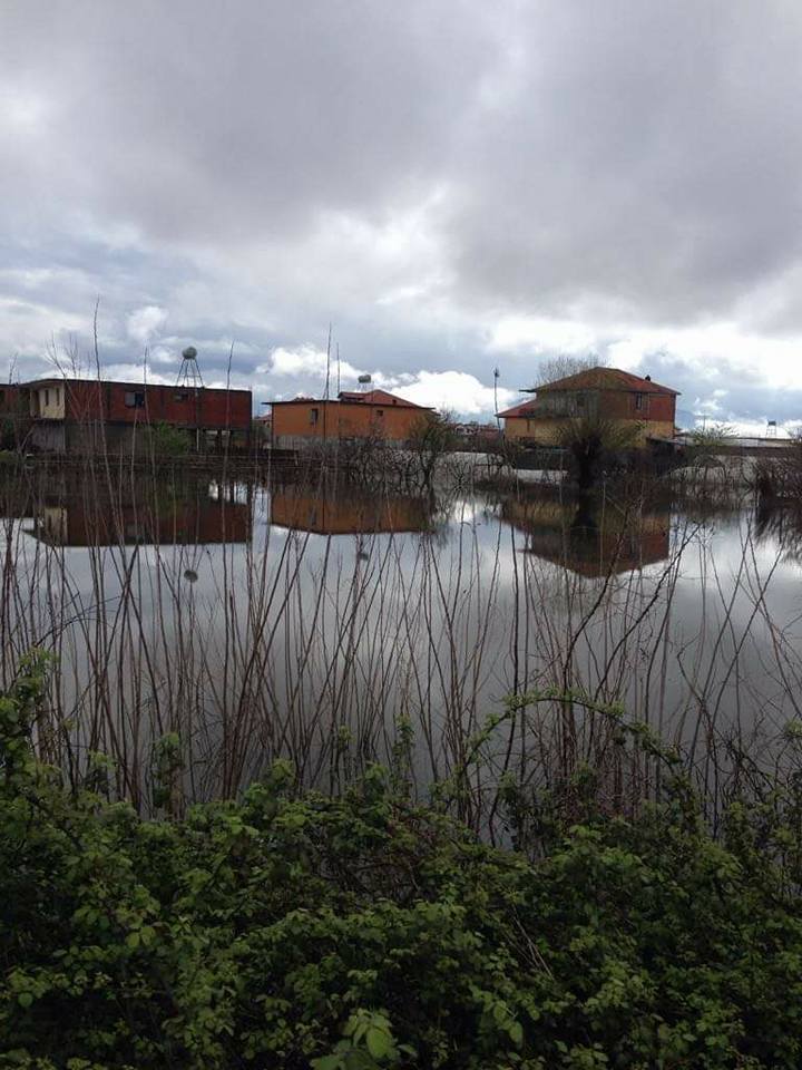 FOTO GALERI/ “Gjendja në Shkodër kriminale, zyrtarët që refuzojnë të marrin përgjegjësitë, do të përballet me pasojat ligjore dhe penale”