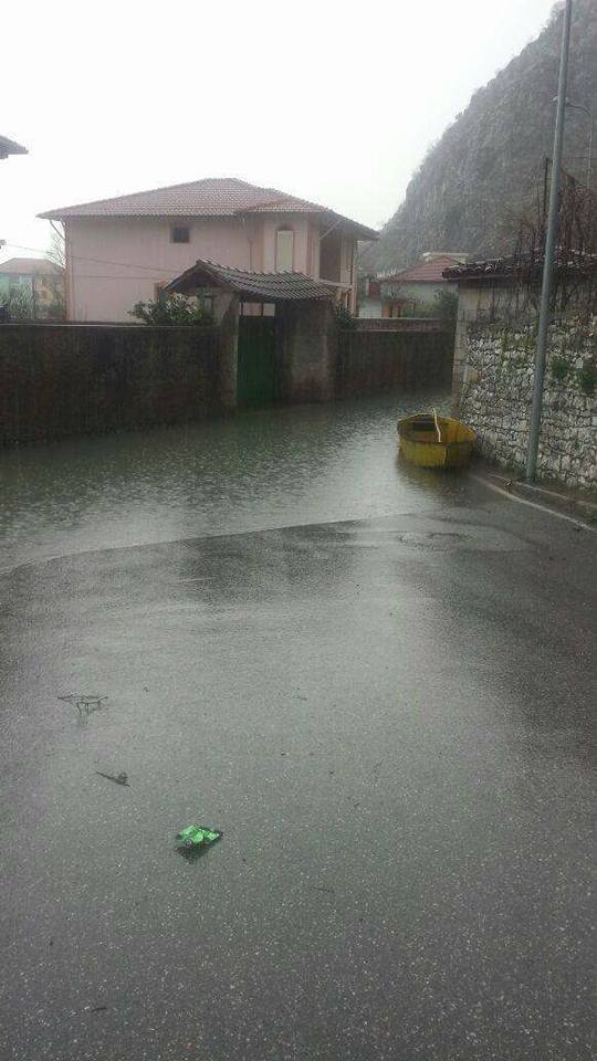 FOTO GALERI/ “Gjendja në Shkodër kriminale, zyrtarët që refuzojnë të marrin përgjegjësitë, do të përballet me pasojat ligjore dhe penale”