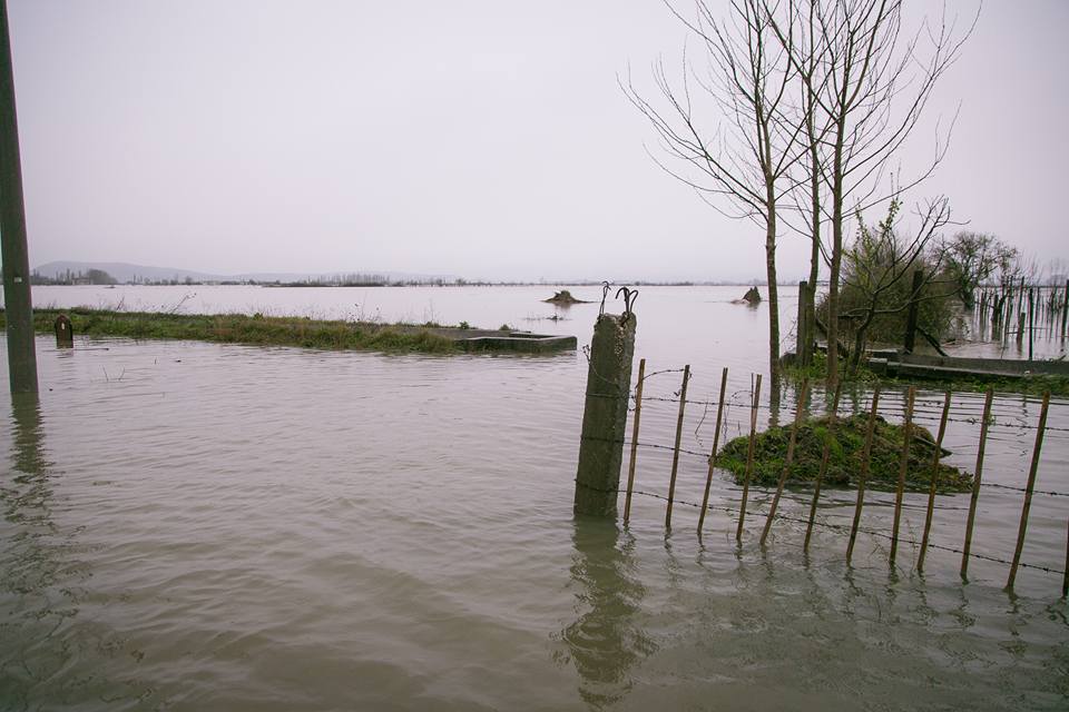 FOTO GALERI/ Basha me banorët e përmbytur në Shkodër, Rama vazhdon udhëtimin turistik