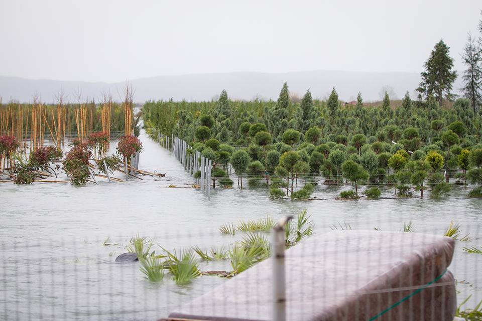 FOTO GALERI/ Basha me banorët e përmbytur në Shkodër, Rama vazhdon udhëtimin turistik
