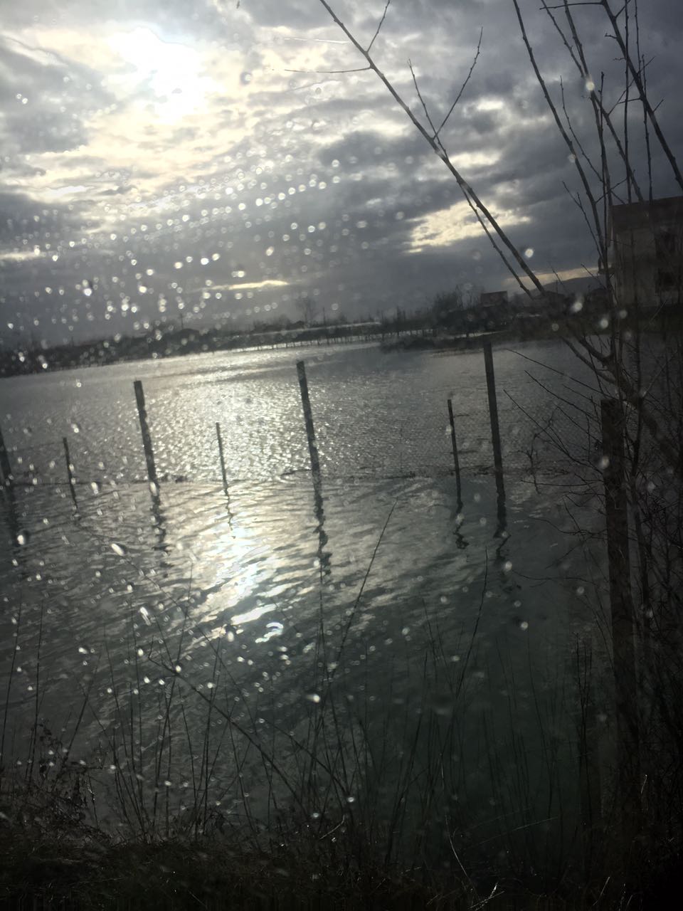 FOTO GALERI/ Shkodër, përmbytje masive, fëmijët në shkollë me kamionët e ushtrisë