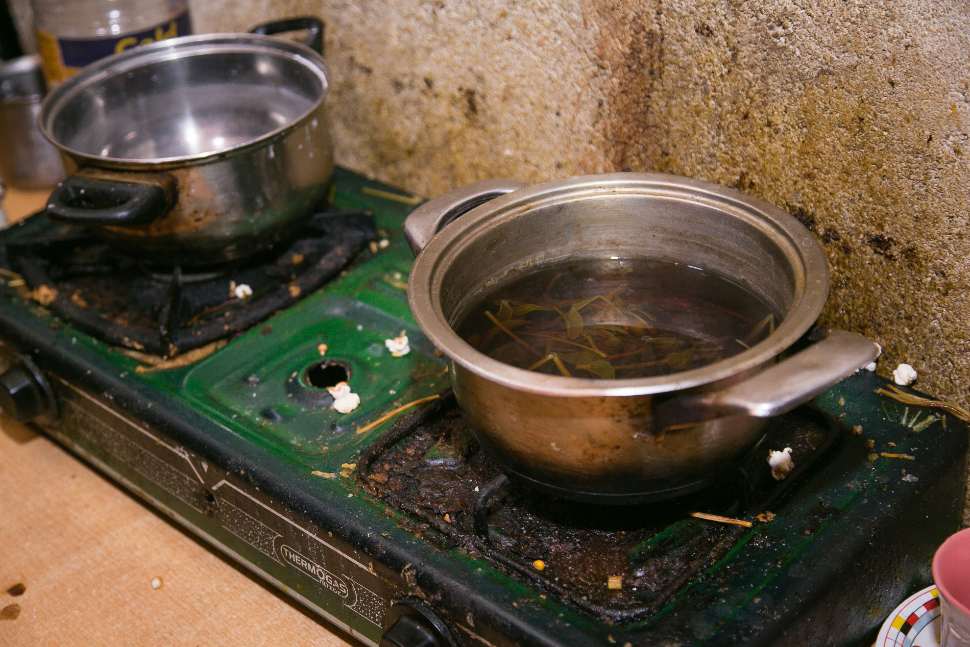 FOTO GALERI/ Vorë, të përjashtuar nga ndihma ekonomike, fëmijët ushqehen me lakër e qepë