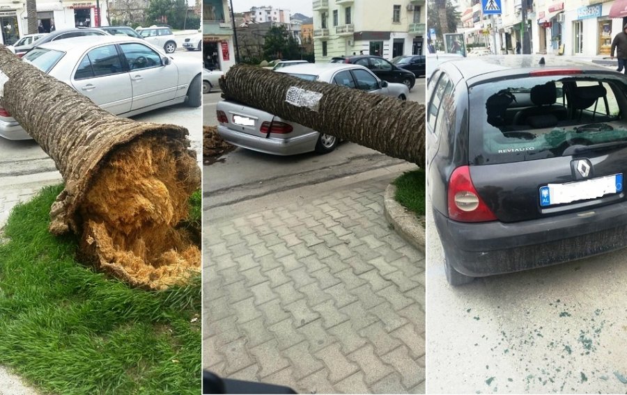 VIDEO/ Vlorë, panik në mes të qytetit, era “bën namin” jo vetëm në det, por edhe në tokë