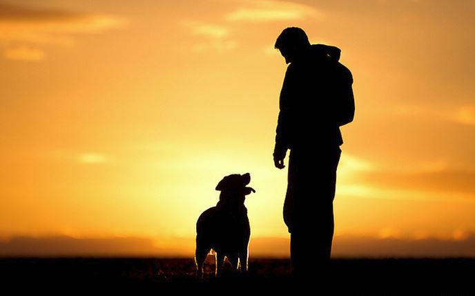 Meshkujt që “dalin për gjah” me një qen, kanë mundësinë të lartë për të gjetur të dashur