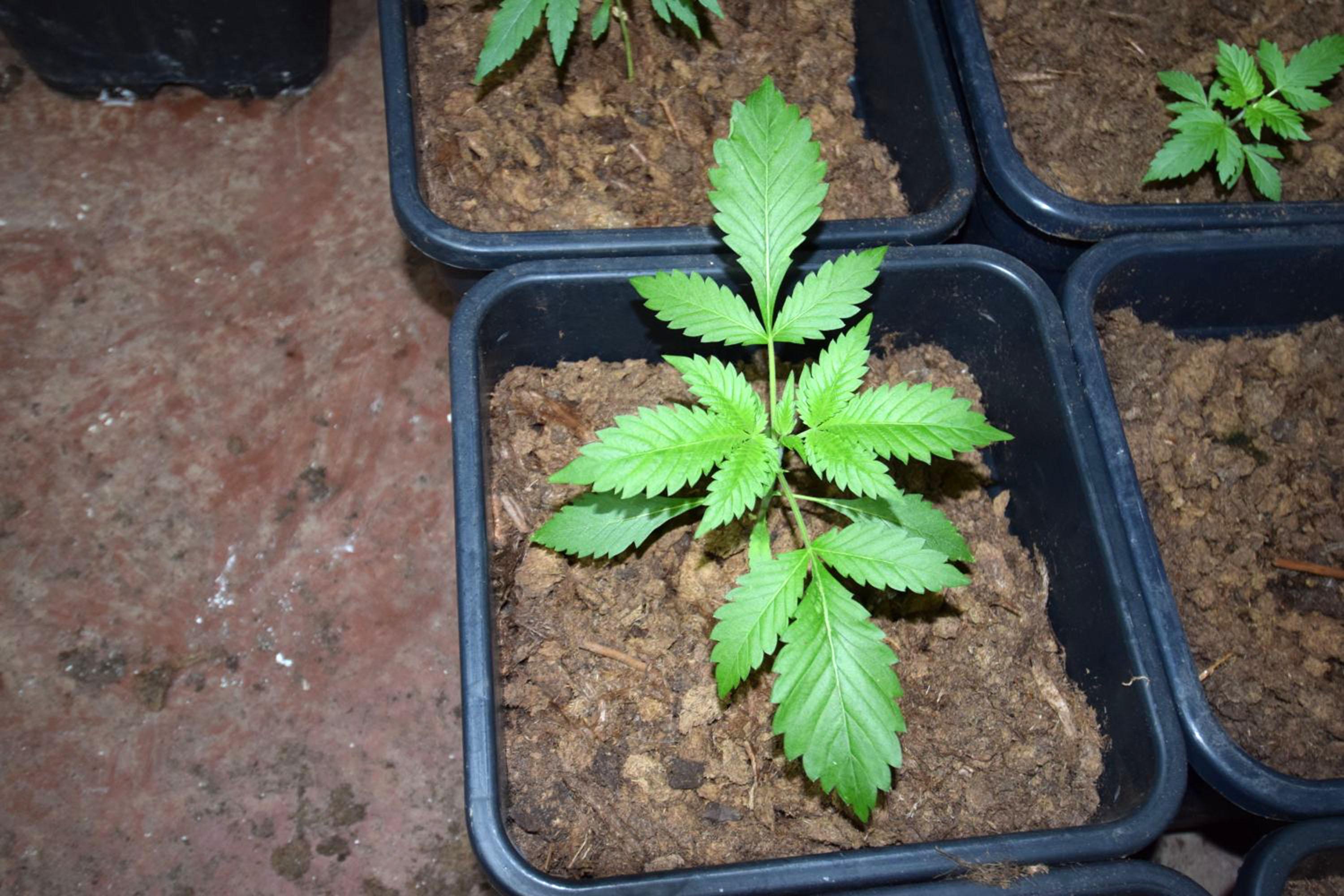 FOTO GALERI/ Policia turke tjetër goditje për Met Kananin, i zbulon edhe një magazinë droge