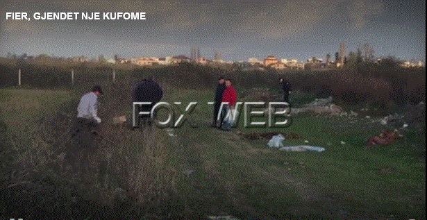 Kufoma në Daullas të Fierit, detaje të reja nga policia