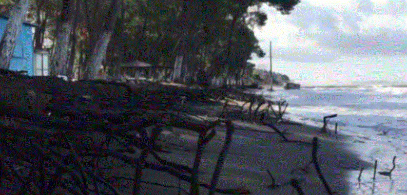 VIDEO/ Deti përpin plazhin e Kunes në Shëngjin