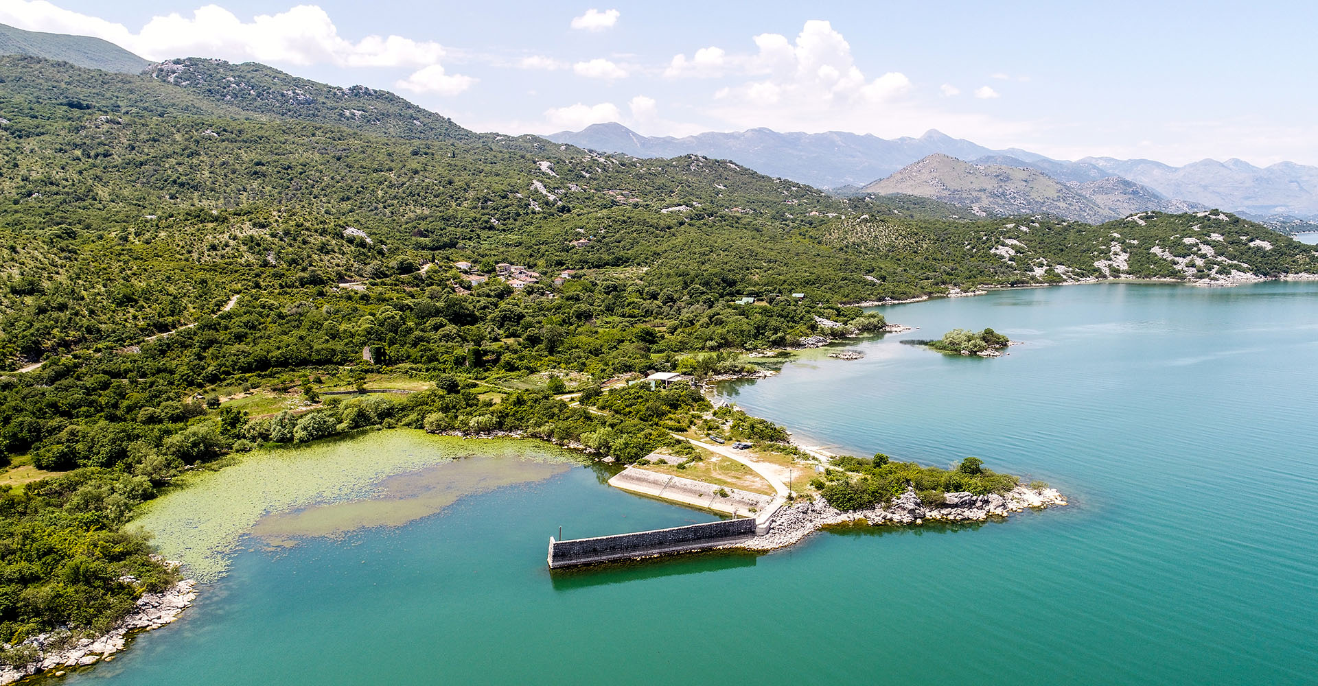 Barbari mjedisore ne Liqenin e Shkodres!