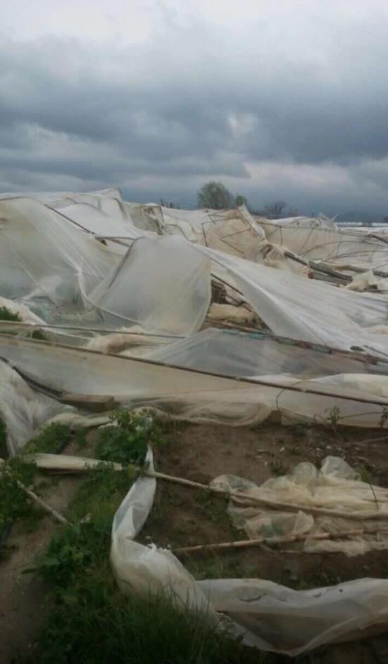 FOTO/Fermere në Berat te ndeshkuar nga natyra te braktisur nga qeveria!