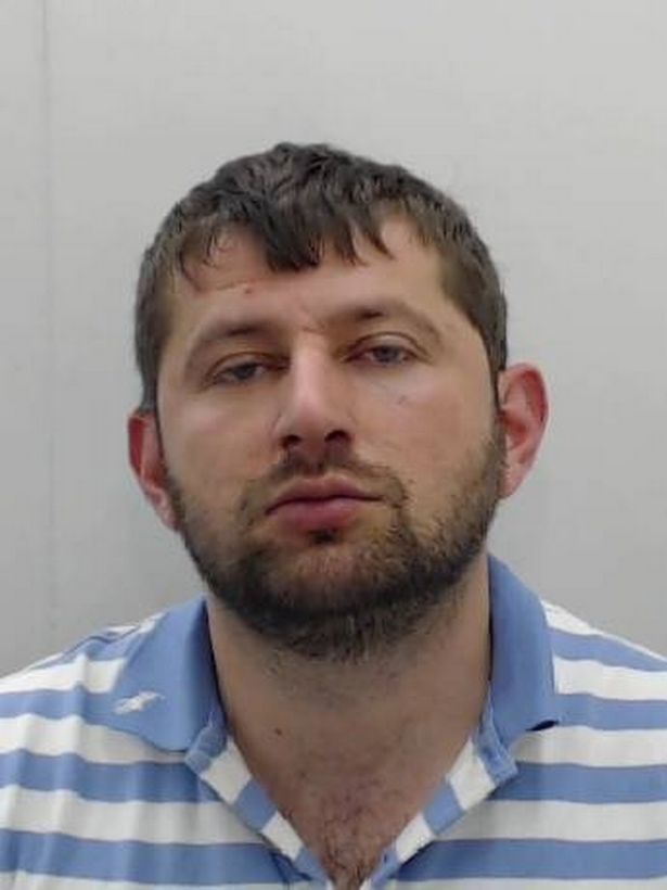 EMRA & FOTO GALERI/ Londër, “mafia shqiptare”, si iu gjetën fermat e kanabisit me vlerë 6 milionë paund