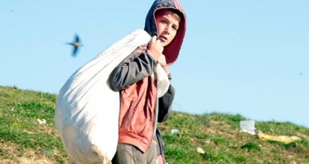 Vdekja e Ardit Gjoklajt, Gjykata e Tiranës shpall të pafajshëm punëtorët e kompanisë 3R