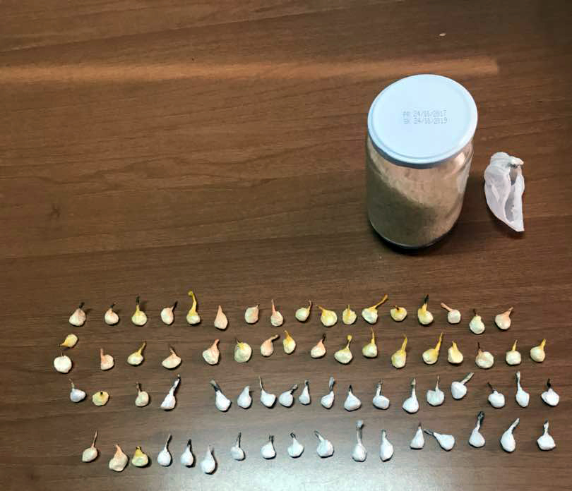 EMRI & FOTO GALERI/ Tiranë, arrestohet “tregtari” i drogës, kishte “mbytur” me kokainë, Freskun, Xhamllikun dhe Porcelanin