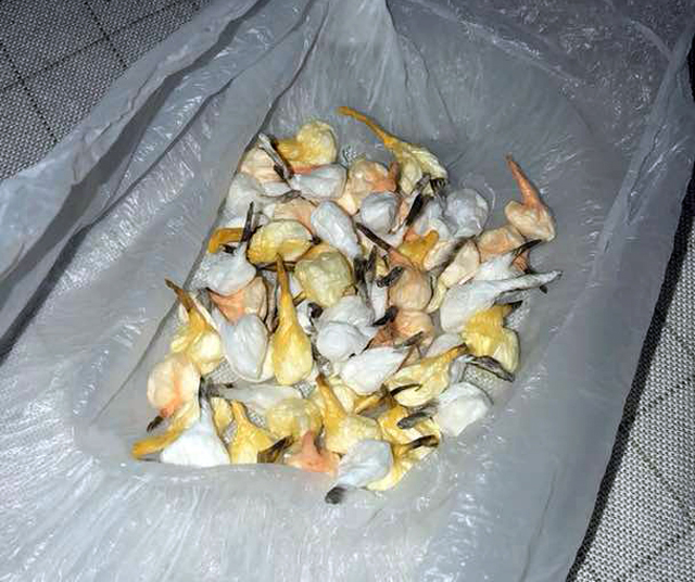 DETAJE/ Tiranë, lufta ndaj trafikut të drogës, priten shkarkime – Komisariatet që do të preken