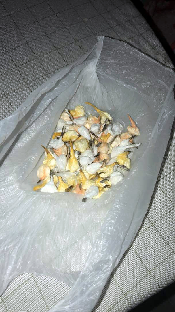 EMRI & FOTO GALERI/ Tiranë, arrestohet “tregtari” i drogës, kishte “mbytur” me kokainë, Freskun, Xhamllikun dhe Porcelanin