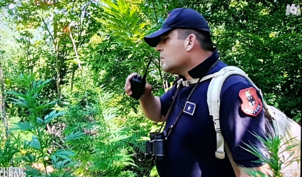 “Kazani” francez: Shqipëria plazhe parajse dhe prodhuesja më e madhe e kanabisit në botë