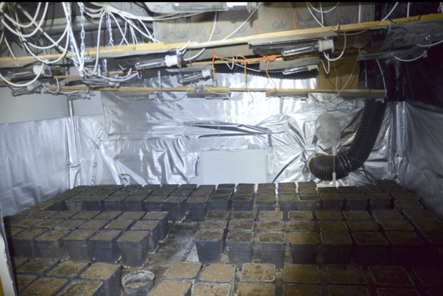 FOTO GALERI/ Belgjikë e Luksemburg, goditet mafia shqiptare, mbi 30 arrestime