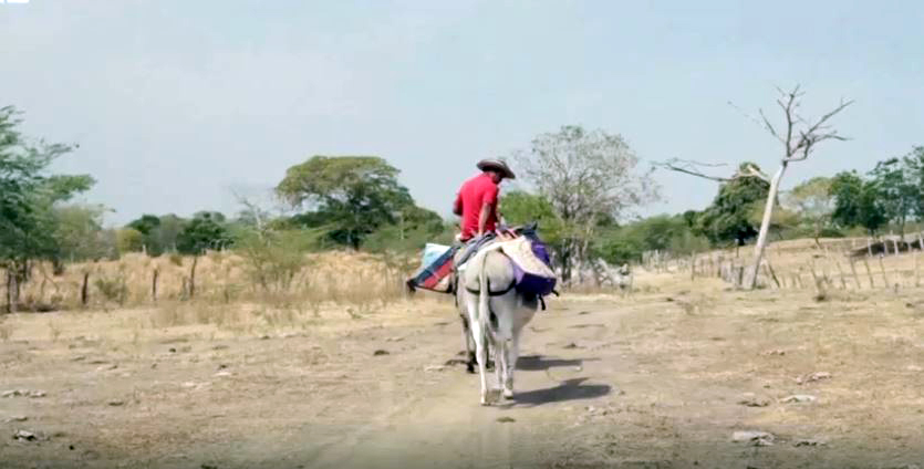 FOTO GALERI/ Të shpërndash dijen me dy gomerë