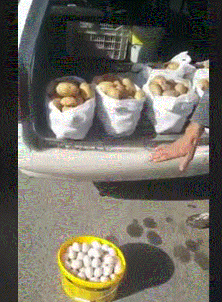 VIDEO/ Plot bagazhi i makinës me patate dhe vezë për të gjuajtur Ramën