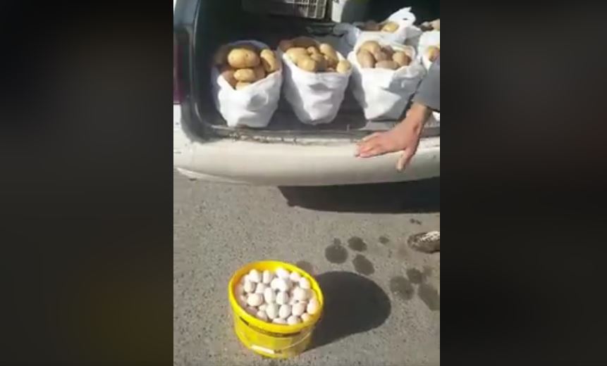 VIDEO/ Shkodra “armatoset” me vezë e patate, Edi Rama anulon vizitën