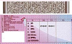 TIRANE/Arrestohet shoferi i autobusit,qarkullonte me patentë të falsifikuar