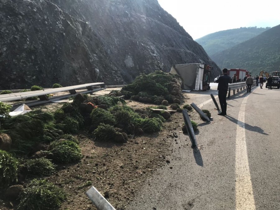 EMRI & FOTO GALERI/ Përmbyset trajleri në Rrugën e Kombit, humb jetën shoferi 42-vjeçar