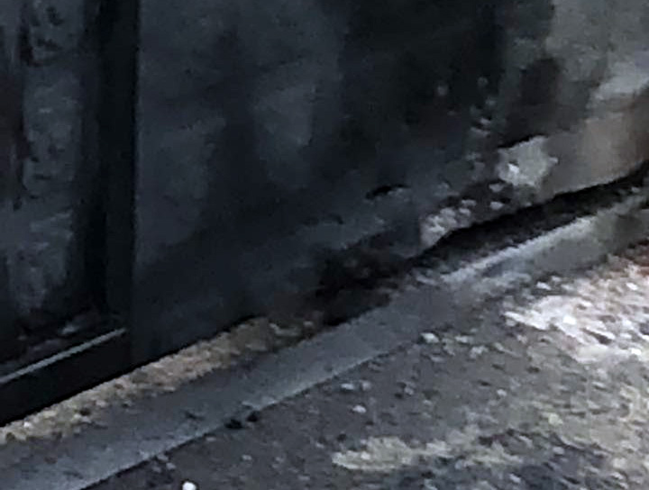 FOTO/ Tiranë, atentat me eksploziv në derën e shtëpisë, plagosen dy bashkëshortët