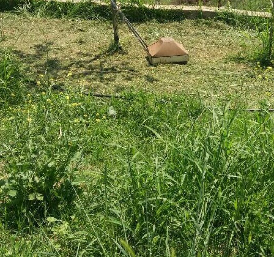 EMRI & FOTO/ Peqin, 35-vjeçarin e zë korenti duke korrur barin