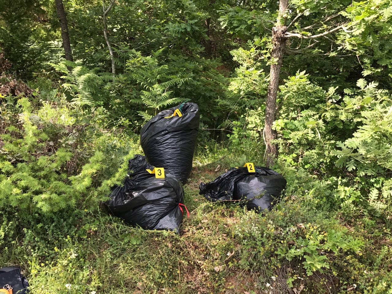 EMRAT/ Korçë, kapet sasi e madhe droge, arrestohen dy persona, në kërkim një i tretë