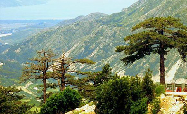 VIDEO/ Gjendet turistja austriake që humbi në Llogara: Jam shumë mirë, faleminderit