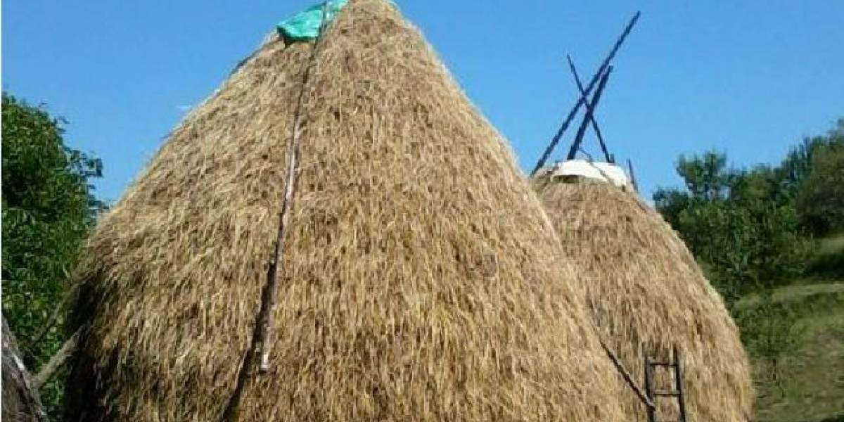 Librazhd rrëzohet nga mullari, vdes 23-vjeçari