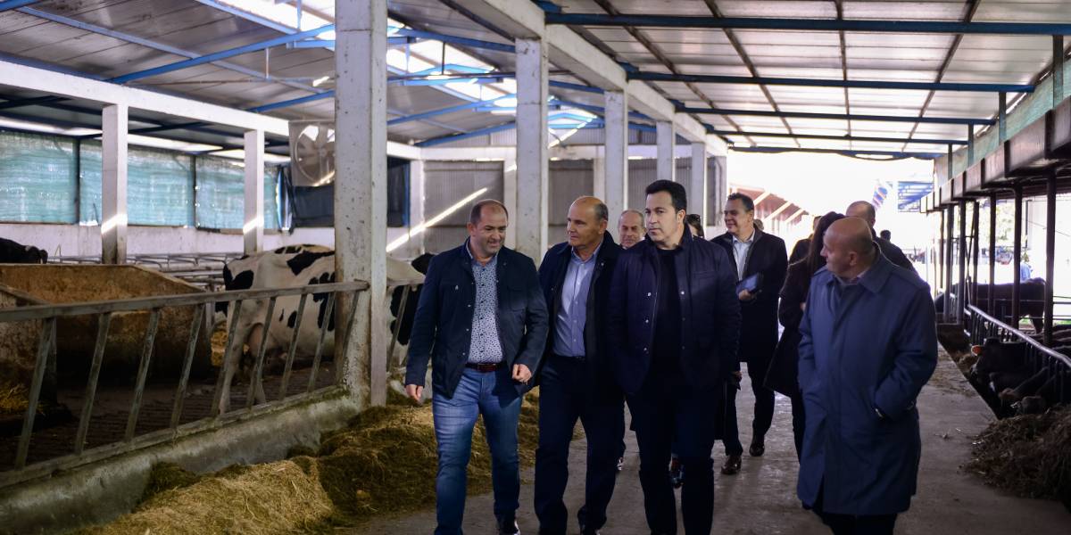 Peleshi mbron qumështin me aflatokoksinë por e shqetëson vaji i palmës në produktet e bulmetit