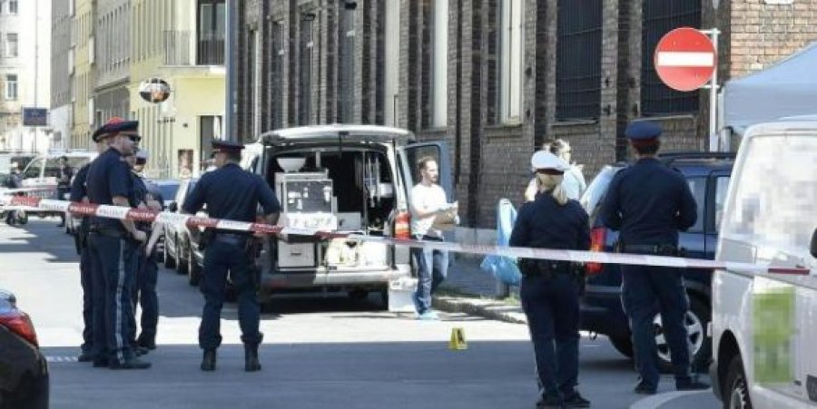 DETAJE/ Vjenë, shqiptarin që vrau gruan në mes të qytetit, u rrethua dhe u çarmatos nga kalimtarët