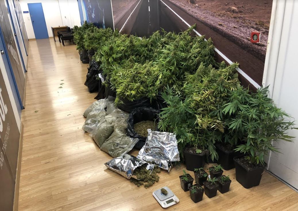 E kthyen banesën në një fermë kanabisi ,vlera arrinte deri në 350 mijë Euro