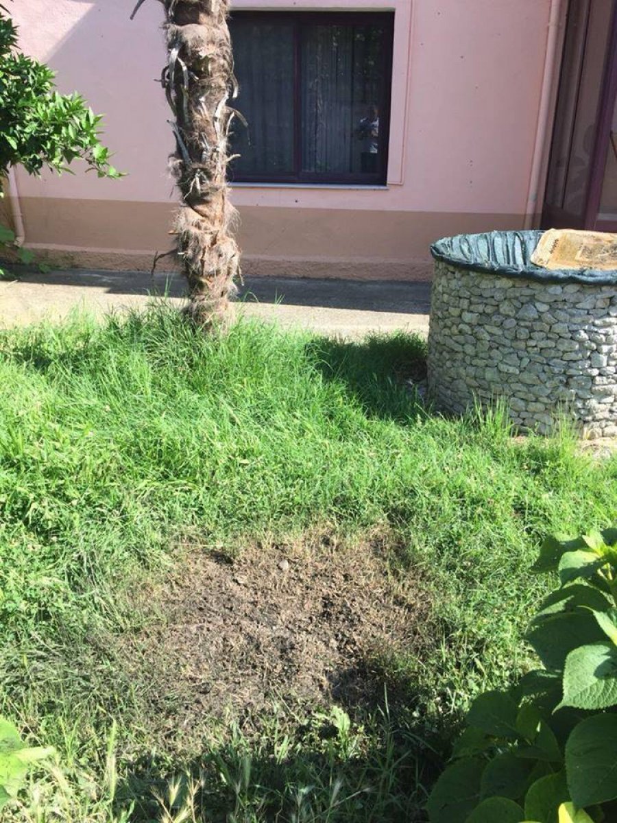 DETAJE & FOTO GALERI/ Shkodër, sulmi me dy granata, kush është ish-shefi i komisariatit i sapo kthyer nga SHBA