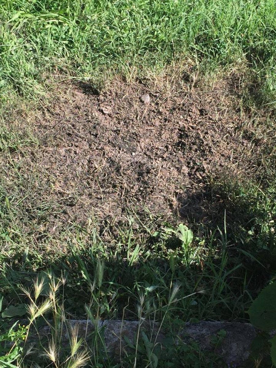 DETAJE & FOTO GALERI/ Shkodër, sulmi me dy granata, kush është ish-shefi i komisariatit i sapo kthyer nga SHBA