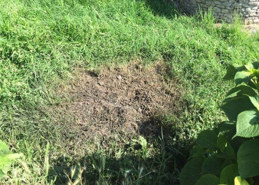 DETAJE & FOTO GALERI/ Shkodër, sulmi me dy granata, kush është ish-shefi i komisariatit i sapo kthyer nga SHBA