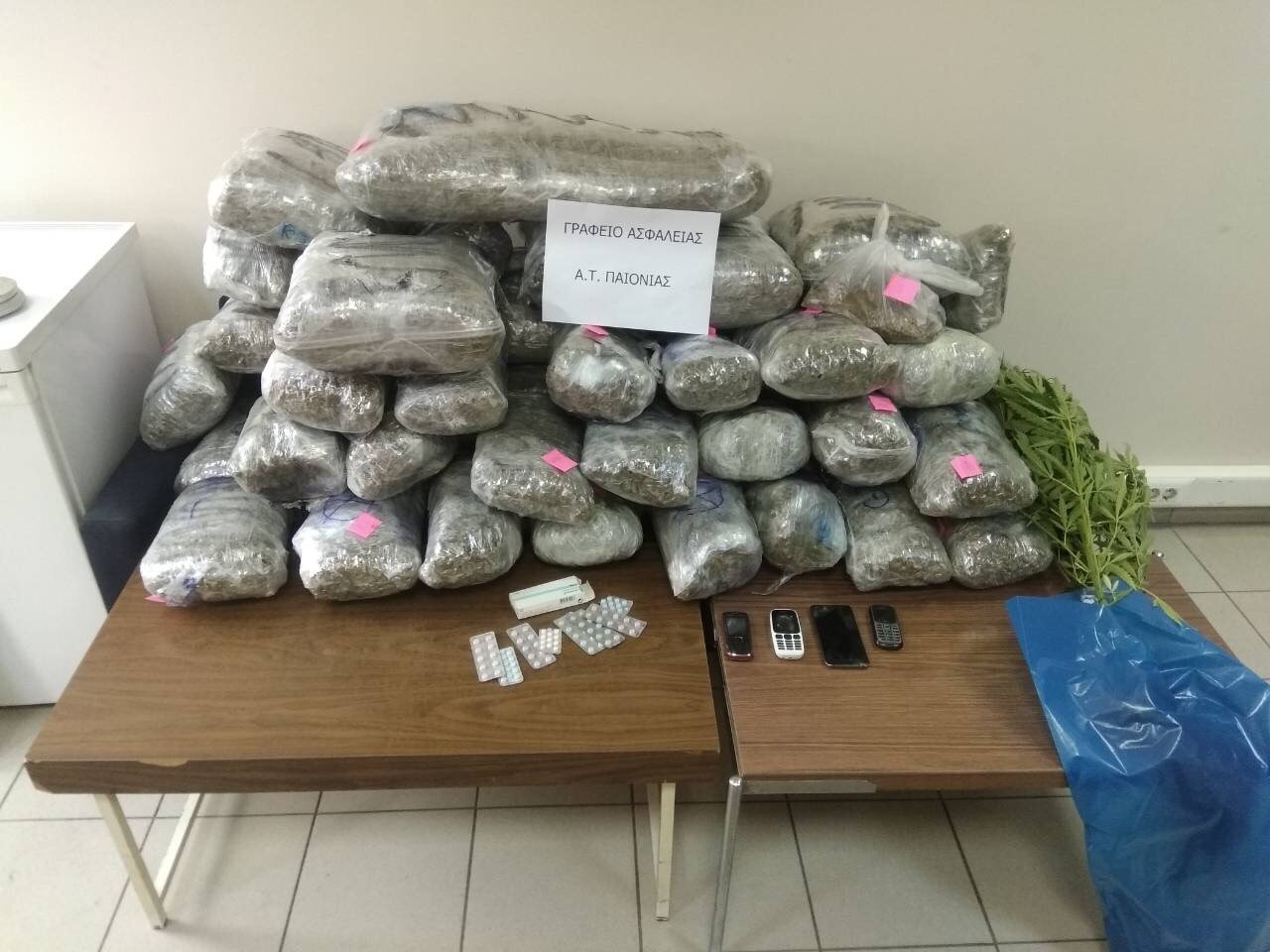 FOTO/ Operacioni me 10 kg marijuanë, në pranga një shqiptar