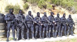 Forcat Delta zbarkojnë në Gjirokastër/Cfarë po ndodh?