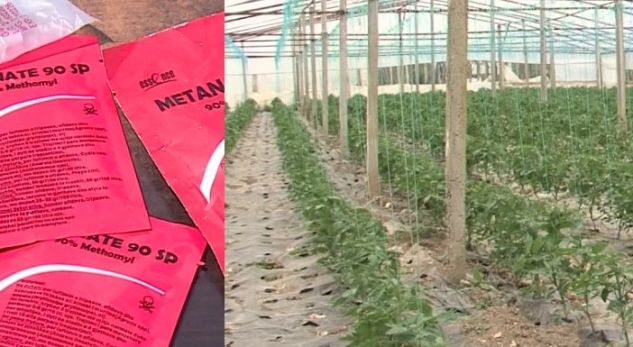 Kush është pesticidi që përdorin fermerët por që rrezikon seriozisht jetën tonë?