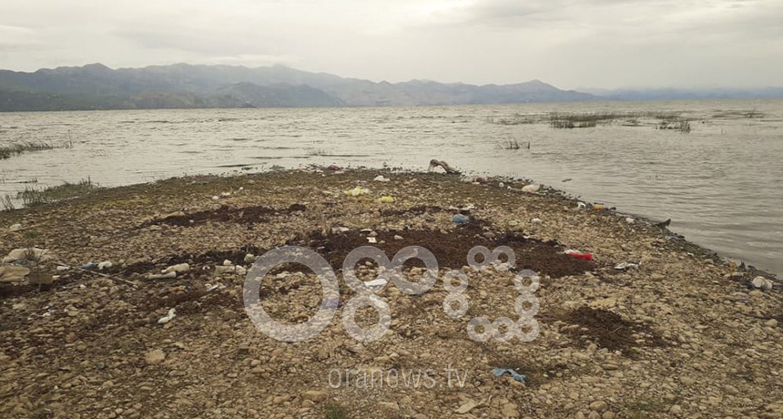 Hashashi ne birgjet e Liqenit te Shkodres, dyshimet ku do tranportohej