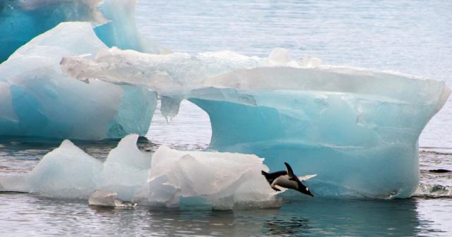 VIDEO/ Akulli në Antarktidë po shkrin më shpejt se sa pritej/ Shkencëtarët paralajmërojnë