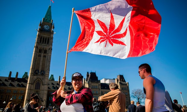 Kanadaja, vendi i dytë që legalizon përdorimin e kanabisit