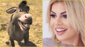 Komentuesja e krahasoi me gomarin e Shrekut, Luana Vjollca i kthehet keq