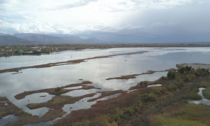 Shqipëria po zvogëlohet, erozioni po përpin tokat në bregdet