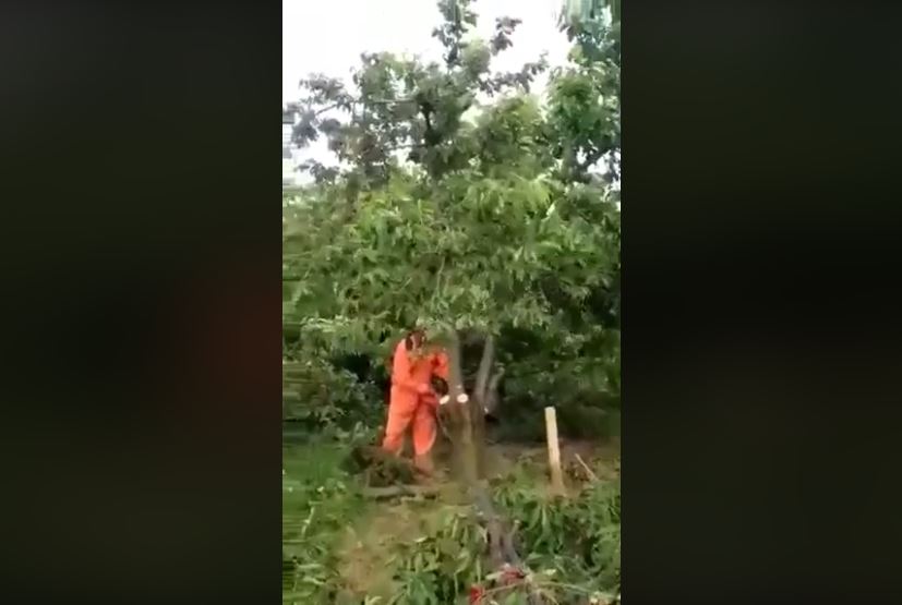 VIDEO/ “Niko leshi s’na ndihmon, derrat nuk na i hanë, ndaj po i presim qershitë”