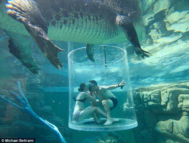 FOTO GALERI/ Propozim për martesë mes krokodilëve, por diçka rrezikoi të shkonte tmerrësisht keq…