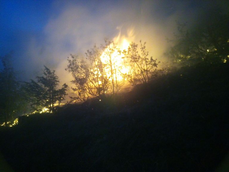 LAJMI I FUNDIT/ Zjarr i madh ne Dhermi, nje piroman mes turisteve