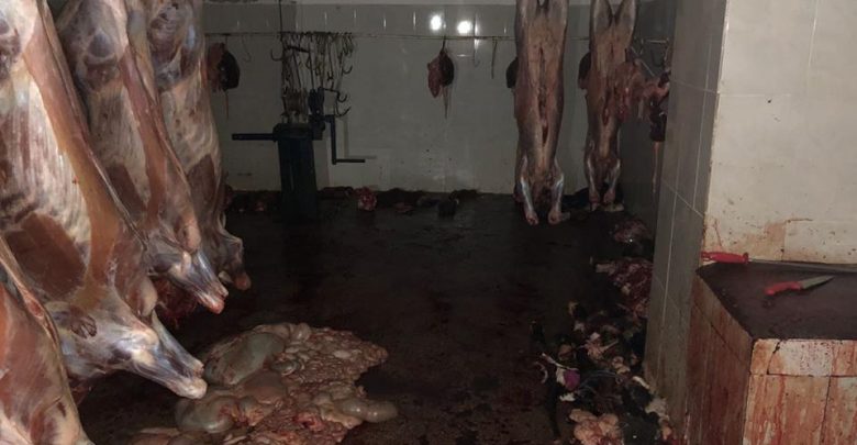 Kryente therje të paligjshme, Aku bllokon 1 ton mish në Pogradec (Foto të kushteve ku ruhej mishi)