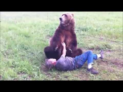 LAJM I FUNDIT/Kukës, ariu në mes të rrugës sulmon 36 vjeçarin