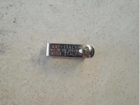 Vlorë, breshka detare e veçantë qëndron në bregun shqiptar (Foto)